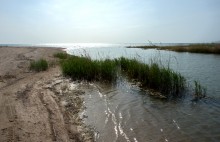Путешествие по весенней Ясенской косе