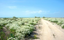 Путешествие по весенней Ясенской косе