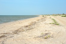 Путешествие по весенней Ясенской косе