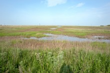 Путешествие по весенней Ясенской косе