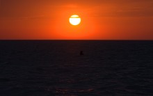 Путешествие по весенней Ясенской косе