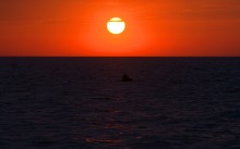 Путешествие по весенней Ясенской косе