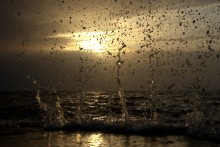 Путешествие по весенней Ясенской косе