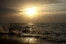 Путешествие по весенней Ясенской косе