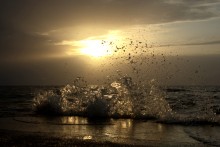 Путешествие по весенней Ясенской косе