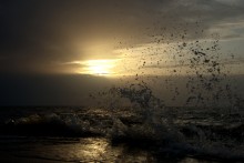 Путешествие по весенней Ясенской косе