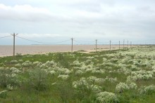 Путешествие по весенней Ясенской косе