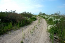 Путешествие по весенней Ясенской косе