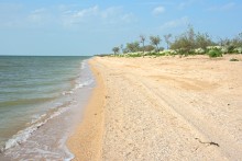 Путешествие по весенней Ясенской косе