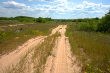 Кундрюченские леса и пески