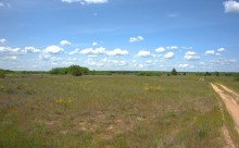 Кундрюченские леса и пески