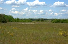 Кундрюченские леса и пески