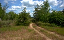 Кундрюченские леса и пески