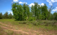 Кундрюченские леса и пески