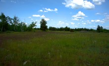 Кундрюченские леса и пески