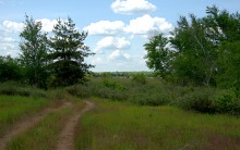 Кундрюченские леса и пески