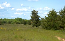 Кундрюченские леса и пески