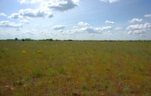 Кундрюченские леса и пески