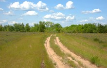 Кундрюченские леса и пески