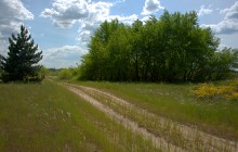 Кундрюченские леса и пески