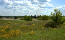 Кундрюченские леса и пески