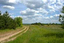 Кундрюченские леса и пески