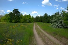 Кундрюченские леса и пески