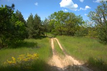 Кундрюченские леса и пески