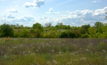 Кундрюченские леса и пески