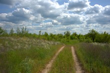 Кундрюченские леса и пески