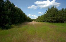 Кундрюченские леса и пески