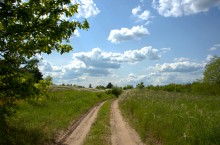Кундрюченские леса и пески