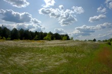 Кундрюченские леса и пески