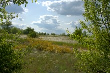 Кундрюченские леса и пески