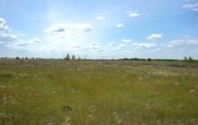 Кундрюченские леса и пески