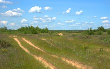 Кундрюченские леса и пески