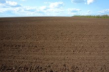 Весеннее поле под чёрным паром