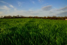 Курган Гирева могила