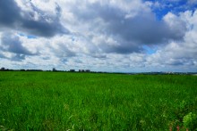 Курган Гирева могила