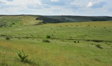 Долина Кундрючьей у Грушевки и Семимаячного