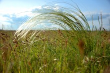 Долина Кундрючьей у Грушевки и Семимаячного