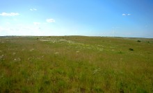 Остатки водяных мельниц в хуторе Дубовом на реке Кундрючьей