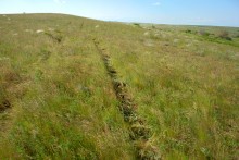 Остатки водяных мельниц в хуторе Дубовом на реке Кундрючьей