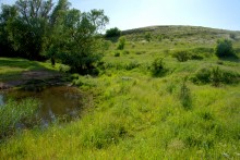 Остатки водяных мельниц в хуторе Дубовом на реке Кундрючьей