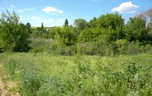 Остатки водяных мельниц в хуторе Дубовом на реке Кундрючьей