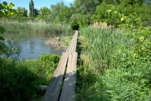 Остатки водяных мельниц в хуторе Дубовом на реке Кундрючьей