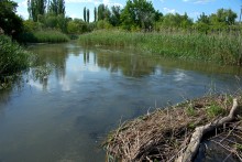 Остатки водяных мельниц в хуторе Дубовом на реке Кундрючьей