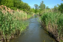 Остатки водяных мельниц в хуторе Дубовом на реке Кундрючьей