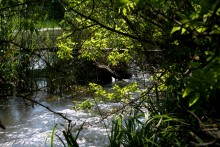 Остатки водяных мельниц в хуторе Дубовом на реке Кундрючьей