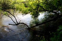 Остатки водяных мельниц в хуторе Дубовом на реке Кундрючьей